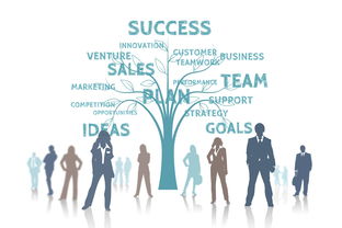 -中国篮球联赛赛事组织效率优化策略探讨,全国篮球联赛优势