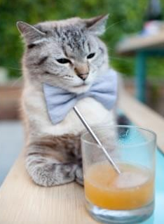 FB体育注册网址-中超联赛中国女足战平 球迷情绪复杂多变，2021中超俱乐部女足联赛