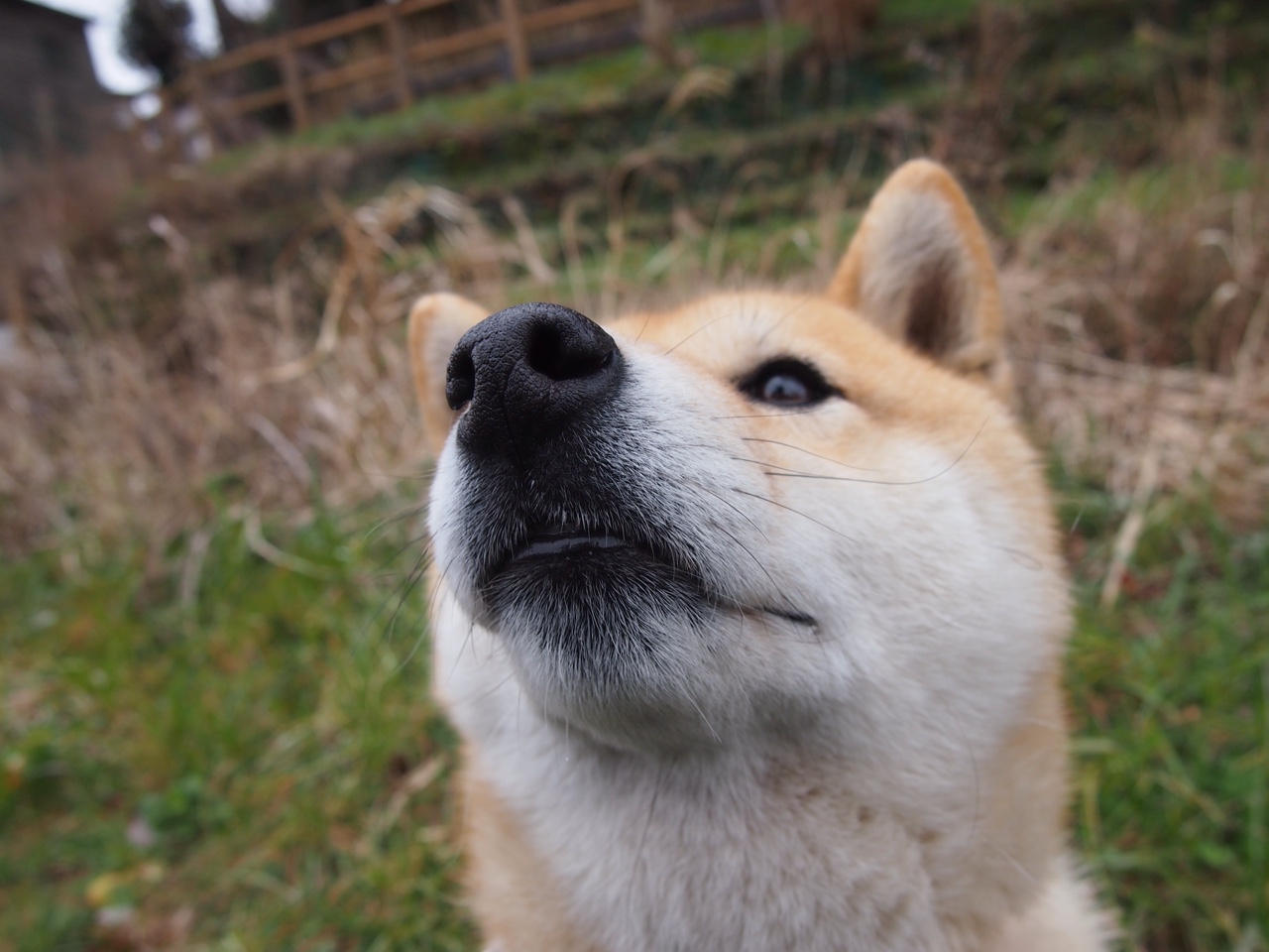 FB体育娱乐-中场球员横向移动距离是否影响球队换边质量,中场球员多用什么阵型