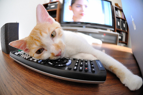 FB体育下载-体育医疗团队快速响应保障安全，体育比赛的医疗援助