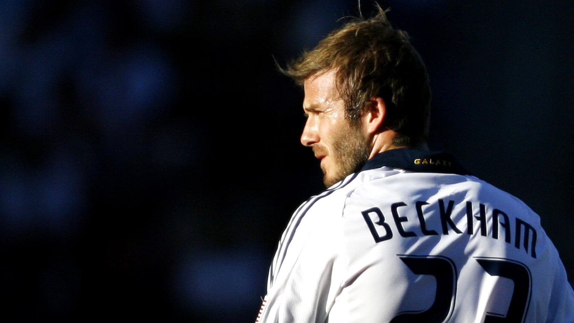 从城市到乡村的全景自行车骑行，绿色出行新趋势，骑行美丽乡村