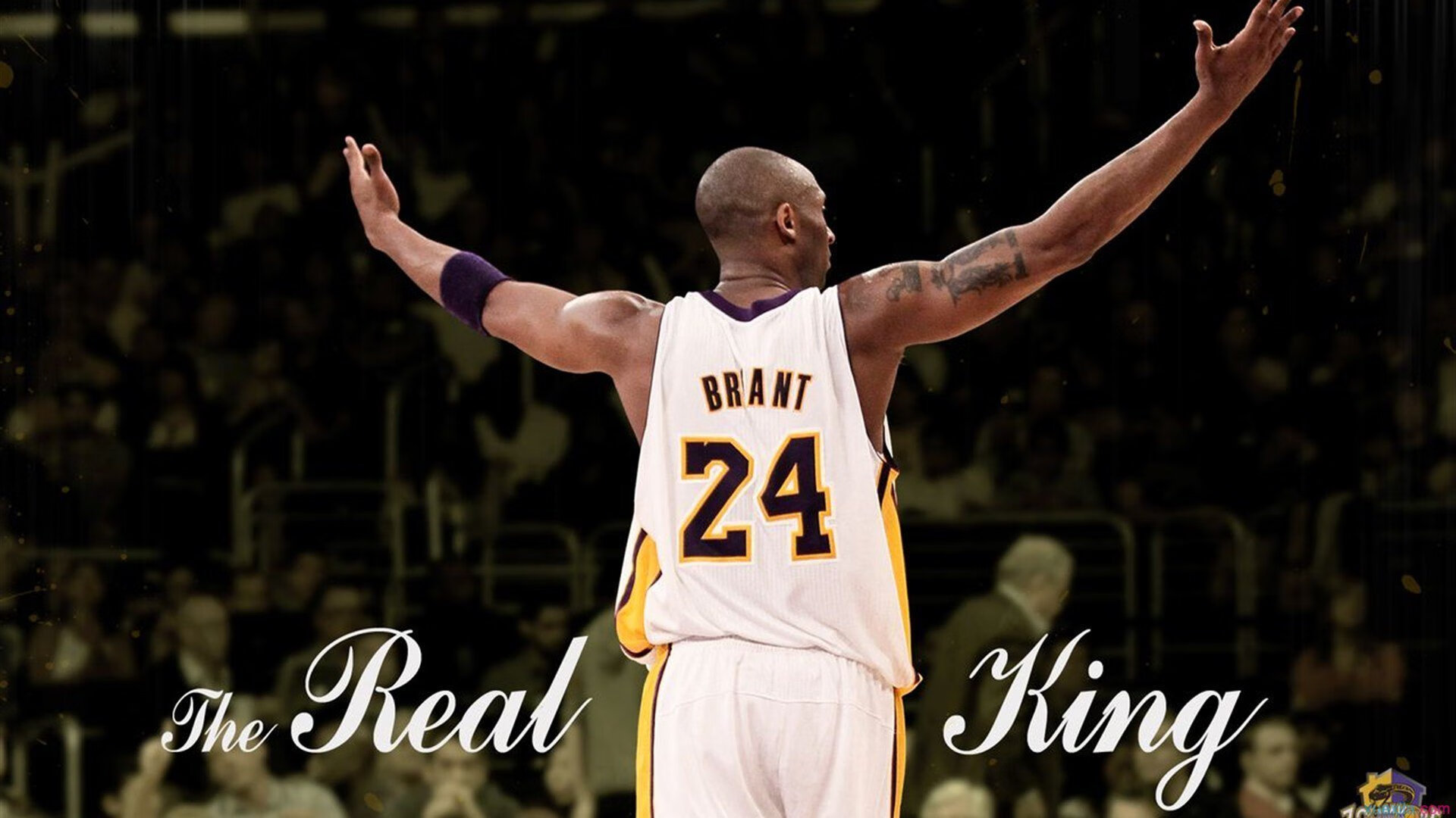 大型足球节和电音文化节跨界融合，创新赛事运营模式，足球文化节是几月几日